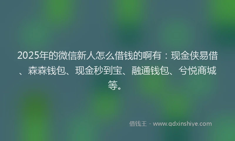 2025年的微信新人怎么借钱的啊有：现金侠易借、森森钱包、现金秒到宝、融通钱包、兮悦商城等。