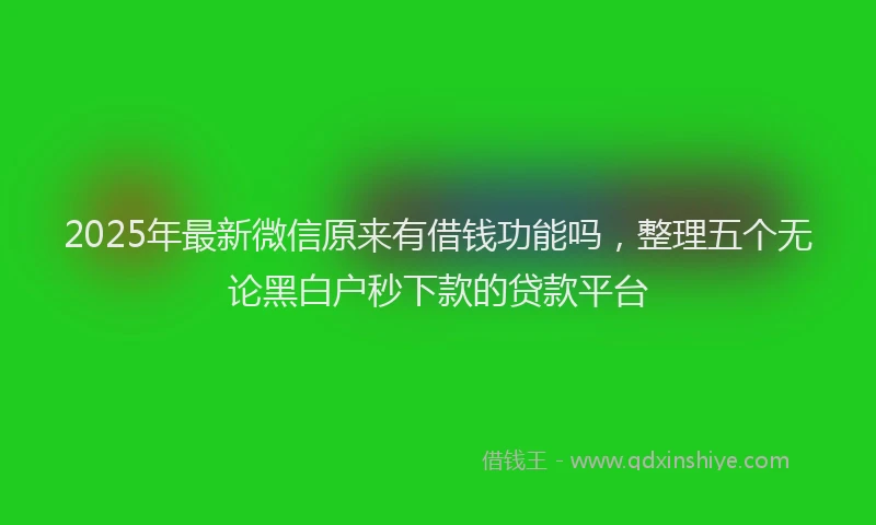 2025年最新微信原来有借钱功能吗，整理五个无论黑白户秒下款的贷款平台