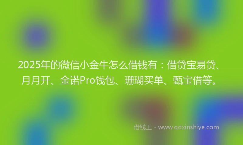 2025年的微信小金牛怎么借钱有：借贷宝易贷、月月开、金诺Pro钱包、珊瑚买单、甄宝借等。