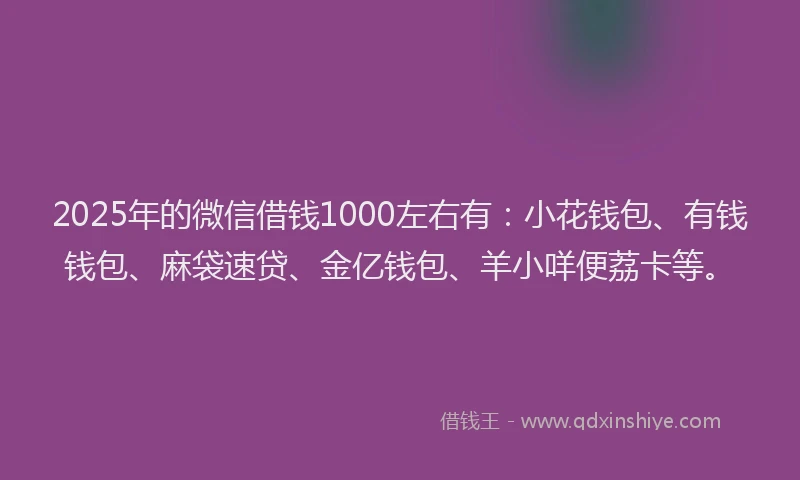 2025年的微信借钱1000左右有：小花钱包、有钱钱包、麻袋速贷、金亿钱包、羊小咩便荔卡等。