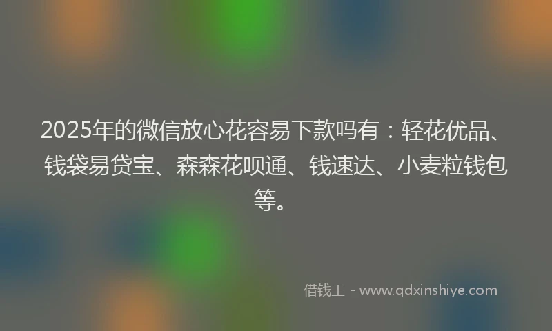 2025年的微信放心花容易下款吗有：轻花优品、钱袋易贷宝、森森花呗通、钱速达、小麦粒钱包等。