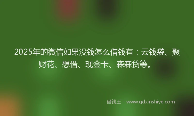 2025年的微信如果没钱怎么借钱有：云钱袋、聚财花、想借、现金卡、森森贷等。