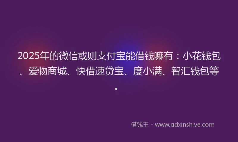 2025年的微信或则支付宝能借钱嘛有：小花钱包、爱物商城、快借速贷宝、度小满、智汇钱包等。