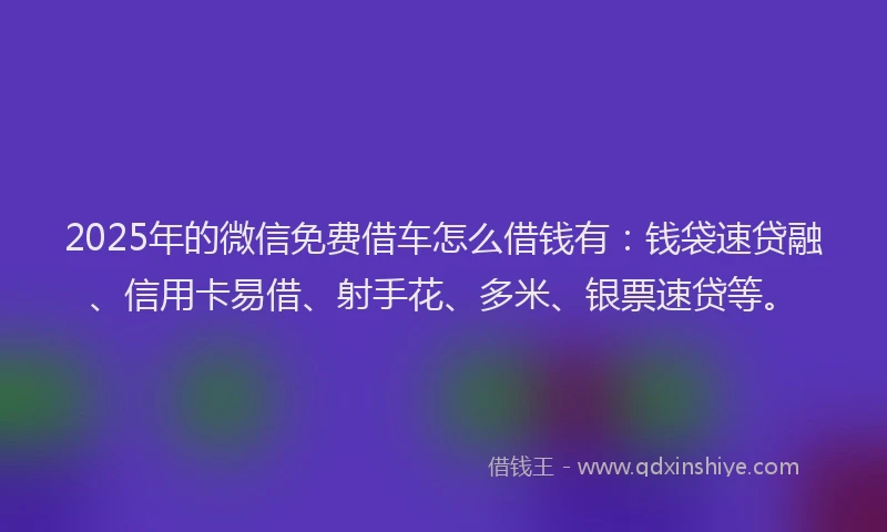 2025年的微信免费借车怎么借钱有：钱袋速贷融、信用卡易借、射手花、多米、银票速贷等。