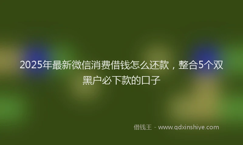 2025年最新微信消费借钱怎么还款，整合5个双黑户必下款的口子