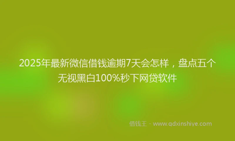 2025年最新微信借钱逾期7天会怎样，盘点五个无视黑白100%秒下网贷软件