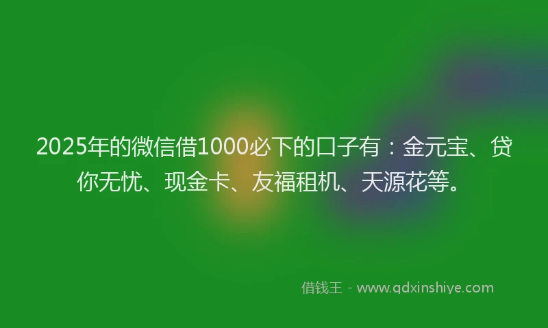 2025年的微信借1000必下的口子有：金元宝、贷你无忧、现金卡、友福租机、天源花等。