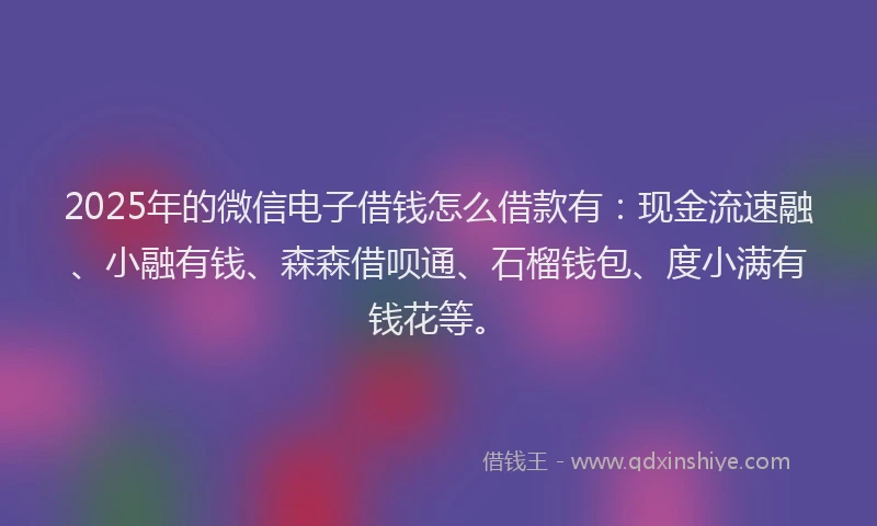 2025年的微信电子借钱怎么借款有：现金流速融、小融有钱、森森借呗通、石榴钱包、度小满有钱花等。