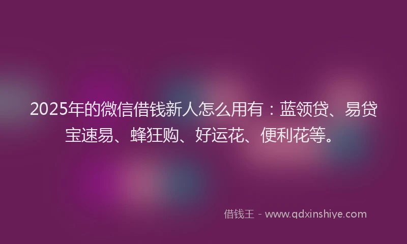 2025年的微信借钱新人怎么用有：蓝领贷、易贷宝速易、蜂狂购、好运花、便利花等。