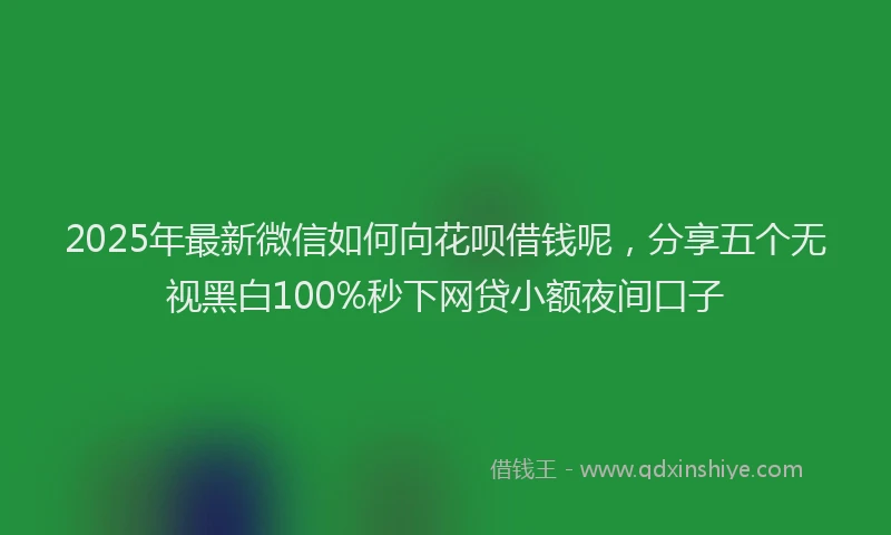 2025年最新微信如何向花呗借钱呢，分享五个无视黑白100%秒下网贷小额夜间口子