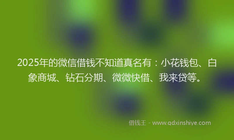2025年的微信借钱不知道真名有：小花钱包、白象商城、钻石分期、微微快借、我来贷等。