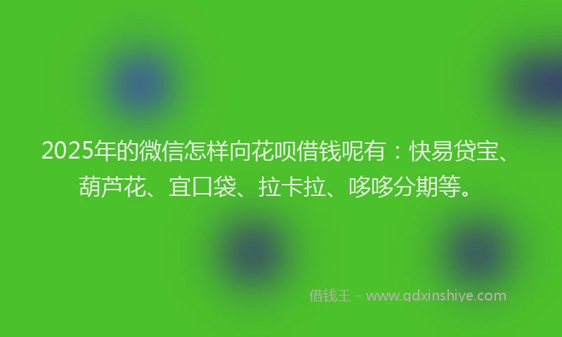2025年的微信怎样向花呗借钱呢有：快易贷宝、葫芦花、宜口袋、拉卡拉、哆哆分期等。