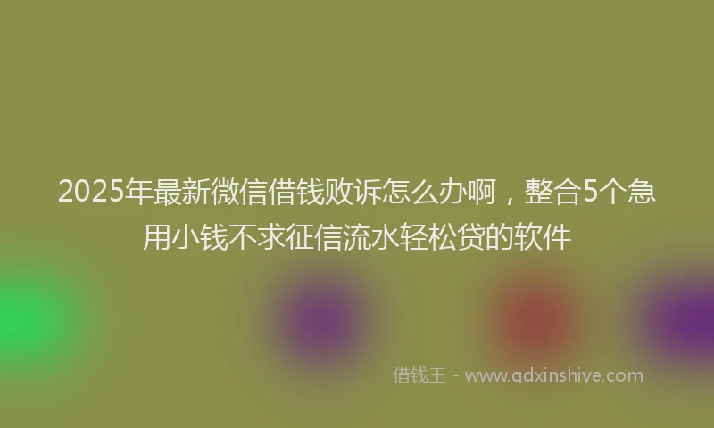 2025年最新微信借钱败诉怎么办啊，整合5个急用小钱不求征信流水轻松贷的软件