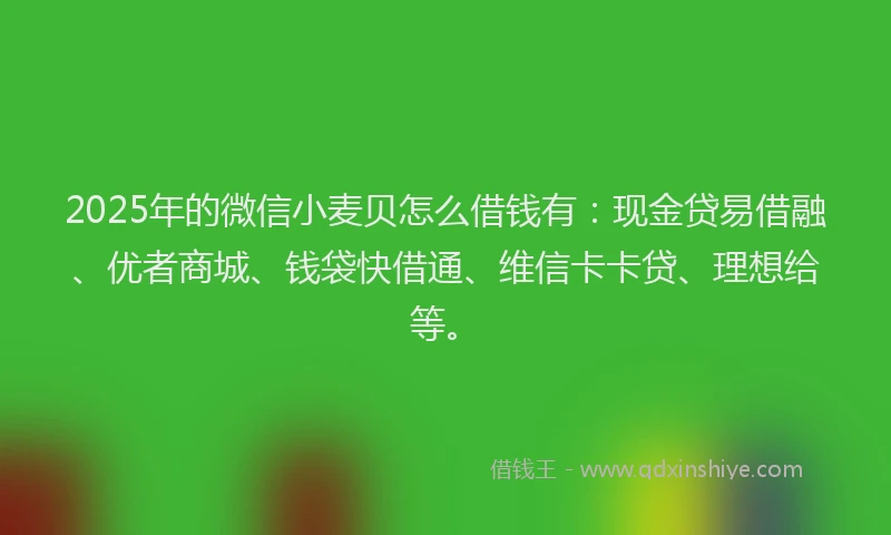 2025年的微信小麦贝怎么借钱有：现金贷易借融、优者商城、钱袋快借通、维信卡卡贷、理想给等。