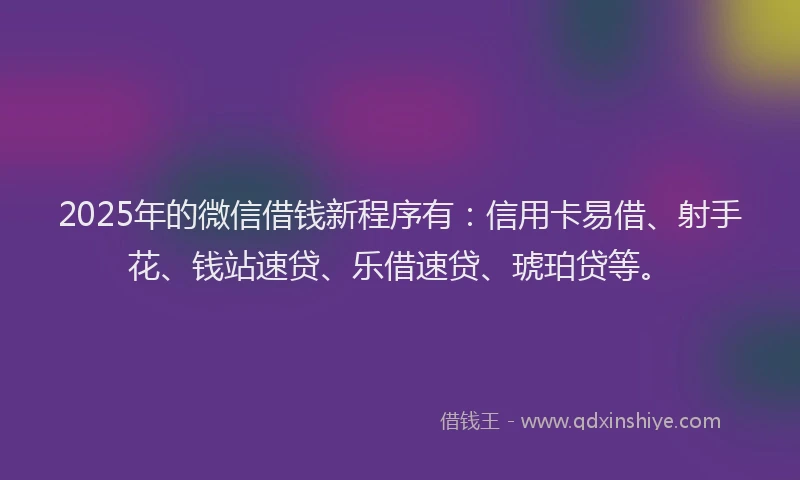 2025年的微信借钱新程序有：信用卡易借、射手花、钱站速贷、乐借速贷、琥珀贷等。