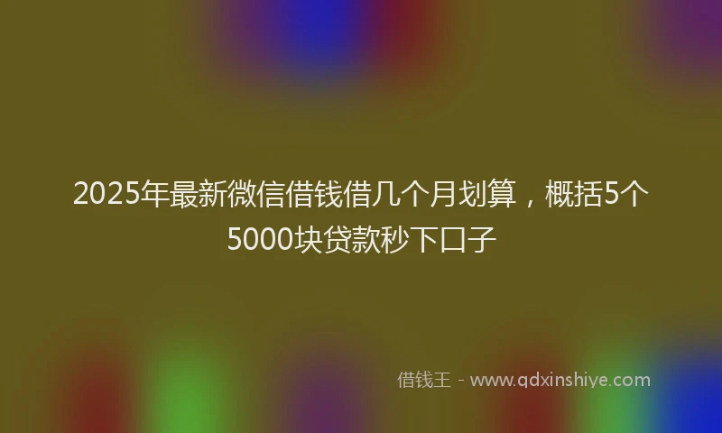 2025年最新微信借钱借几个月划算，概括5个5000块贷款秒下口子