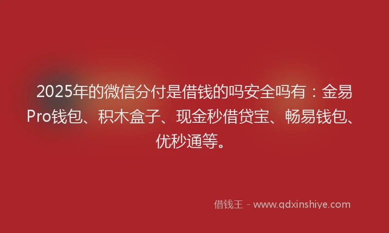 2025年的微信分付是借钱的吗安全吗有：金易Pro钱包、积木盒子、现金秒借贷宝、畅易钱包、优秒通等。