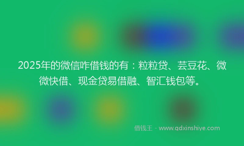 2025年的微信咋借钱的有：粒粒贷、芸豆花、微微快借、现金贷易借融、智汇钱包等。