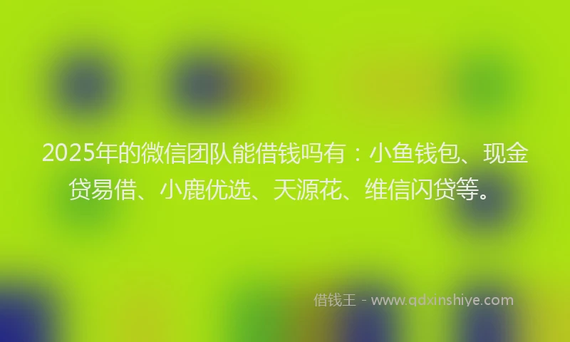 2025年的微信团队能借钱吗有：小鱼钱包、现金贷易借、小鹿优选、天源花、维信闪贷等。