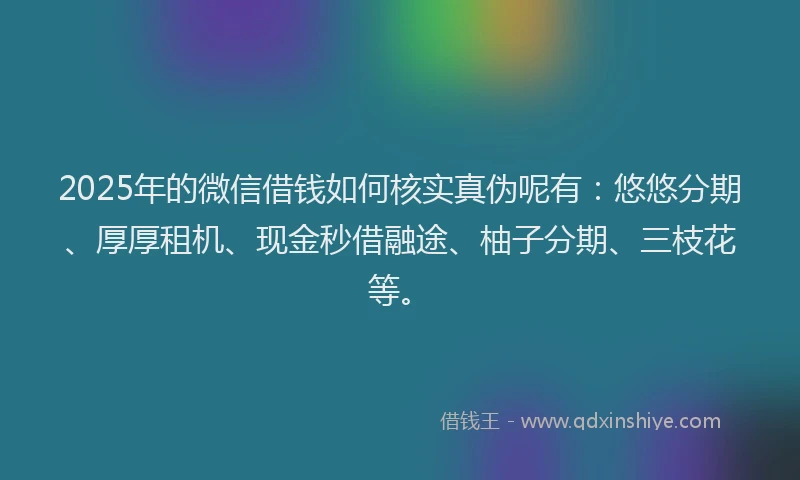 2025年的微信借钱如何核实真伪呢有：悠悠分期、厚厚租机、现金秒借融途、柚子分期、三枝花等。