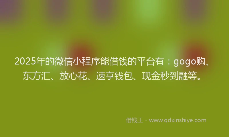 2025年的微信小程序能借钱的平台有：gogo购、东方汇、放心花、速享钱包、现金秒到融等。