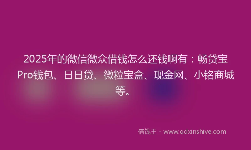 2025年的微信微众借钱怎么还钱啊有：畅贷宝Pro钱包、日日贷、微粒宝盒、现金网、小铭商城等。