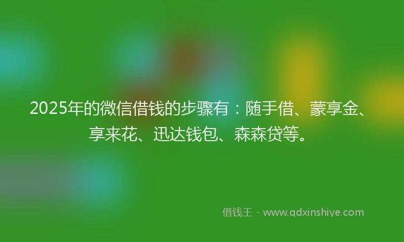 2025年的微信借钱的步骤有：随手借、蒙享金、享来花、迅达钱包、森森贷等。