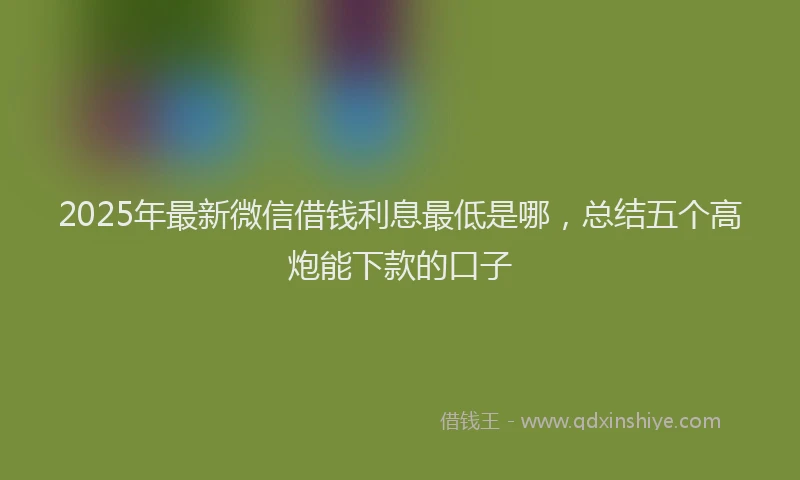 2025年最新微信借钱利息最低是哪，总结五个高炮能下款的口子