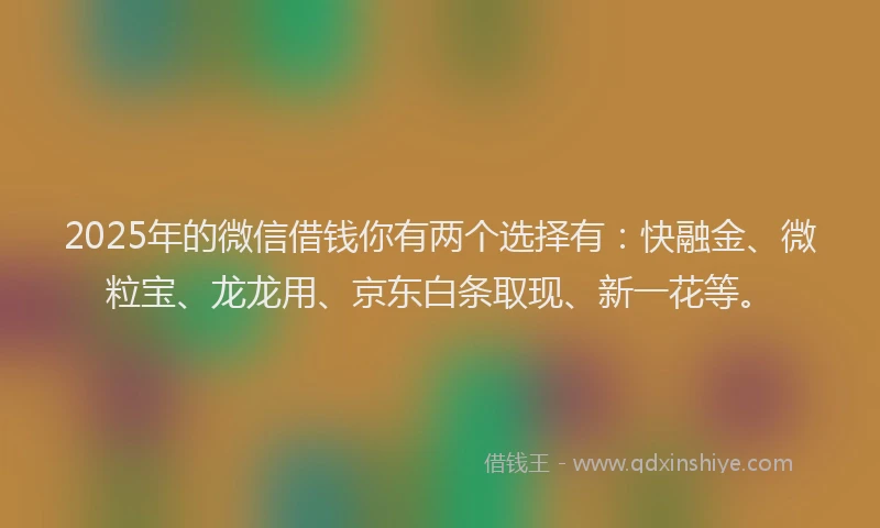 2025年的微信借钱你有两个选择有：快融金、微粒宝、龙龙用、京东白条取现、新一花等。