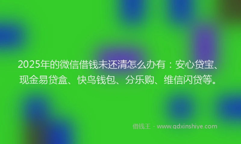 2025年的微信借钱未还清怎么办有：安心贷宝、现金易贷盒、快鸟钱包、分乐购、维信闪贷等。