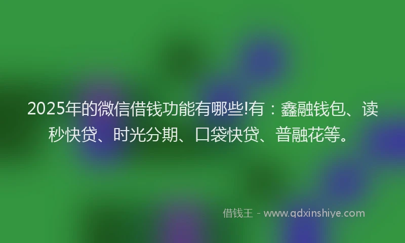 2025年的微信借钱功能有哪些!有：鑫融钱包、读秒快贷、时光分期、口袋快贷、普融花等。