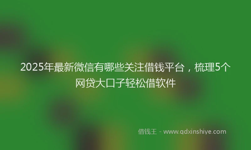 2025年最新微信有哪些关注借钱平台，梳理5个网贷大口子轻松借软件