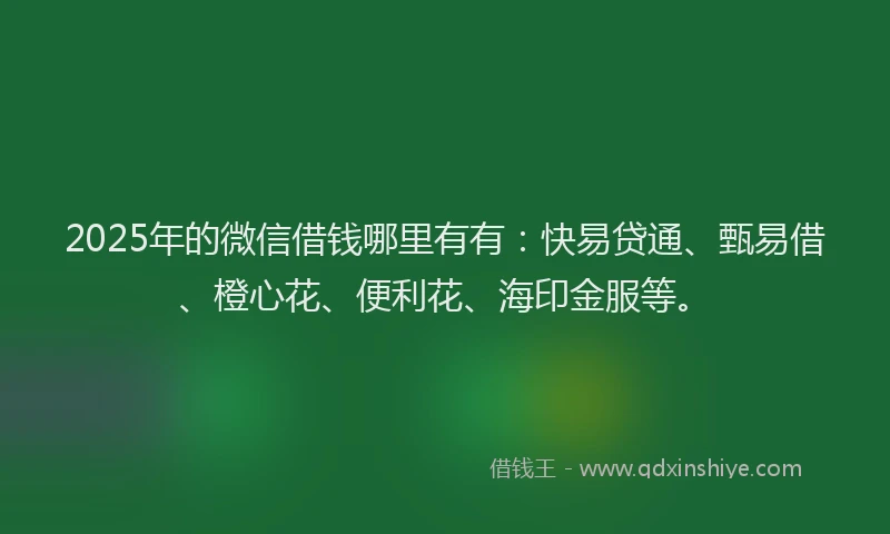 2025年的微信借钱哪里有有：快易贷通、甄易借、橙心花、便利花、海印金服等。