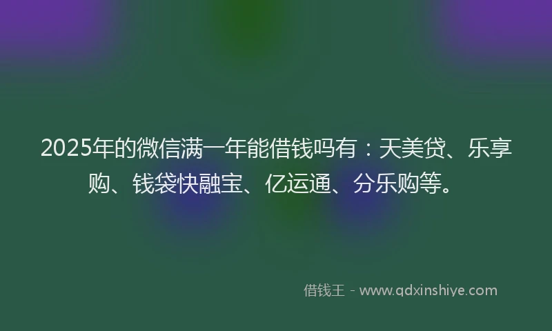 2025年的微信满一年能借钱吗有：天美贷、乐享购、钱袋快融宝、亿运通、分乐购等。