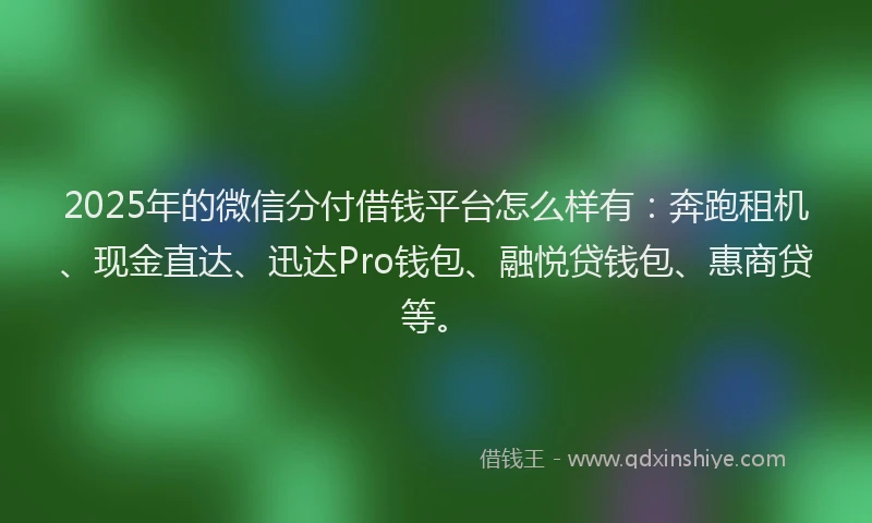 2025年的微信分付借钱平台怎么样有：奔跑租机、现金直达、迅达Pro钱包、融悦贷钱包、惠商贷等。