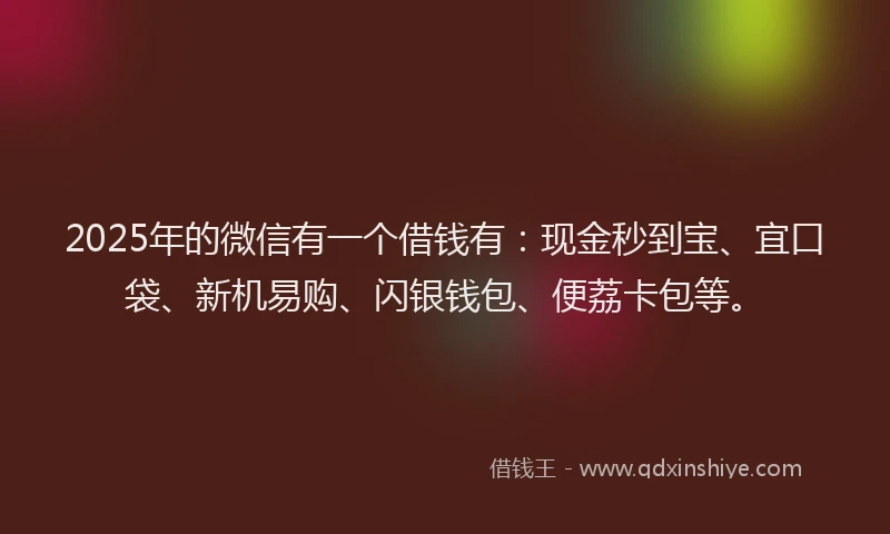 2025年的微信有一个借钱有：现金秒到宝、宜口袋、新机易购、闪银钱包、便荔卡包等。