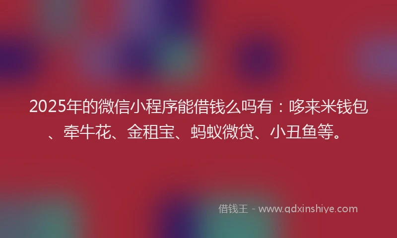 2025年的微信小程序能借钱么吗有：哆来米钱包、牵牛花、金租宝、蚂蚁微贷、小丑鱼等。