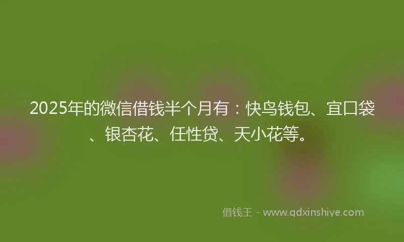 2025年的微信借钱半个月有：快鸟钱包、宜口袋、银杏花、任性贷、天小花等。