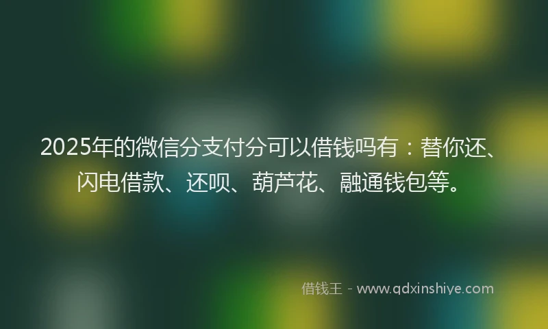 2025年的微信分支付分可以借钱吗有：替你还、闪电借款、还呗、葫芦花、融通钱包等。