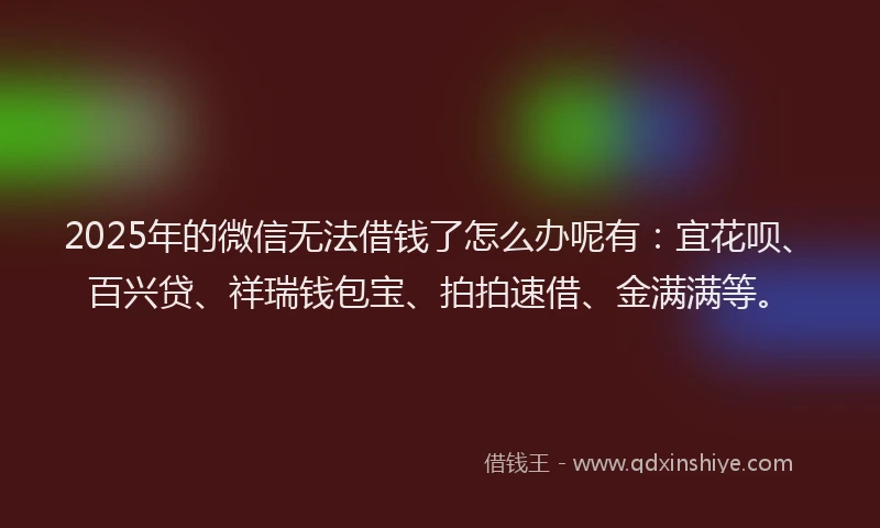 2025年的微信无法借钱了怎么办呢有：宜花呗、百兴贷、祥瑞钱包宝、拍拍速借、金满满等。