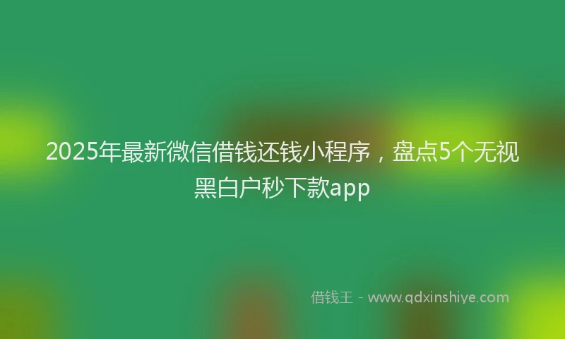 2025年最新微信借钱还钱小程序，盘点5个无视黑白户秒下款app