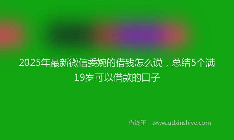 2025年最新微信委婉的借钱怎么说，总结5个满19岁可以借款的口子