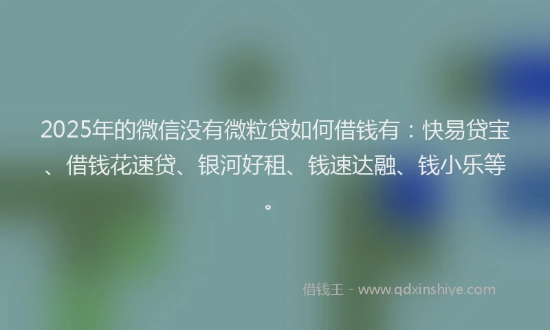 2025年的微信没有微粒贷如何借钱有：快易贷宝、借钱花速贷、银河好租、钱速达融、钱小乐等。