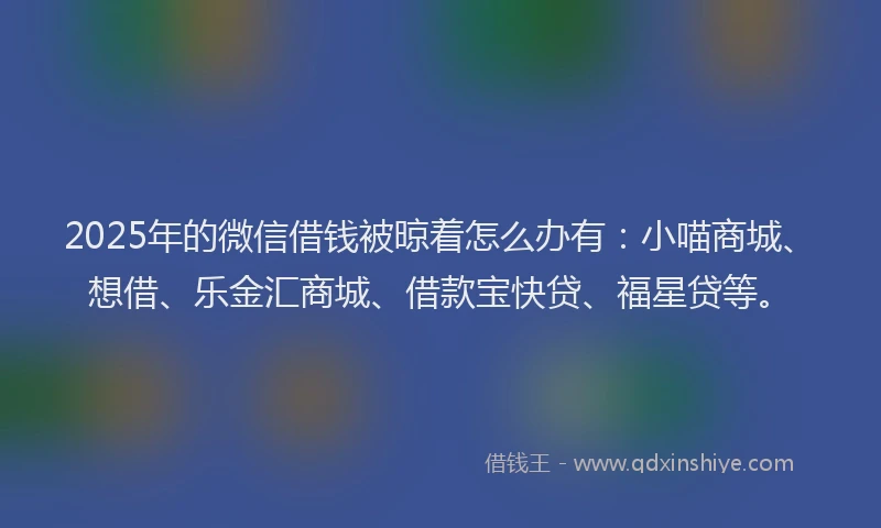 2025年的微信借钱被晾着怎么办有：小喵商城、想借、乐金汇商城、借款宝快贷、福星贷等。