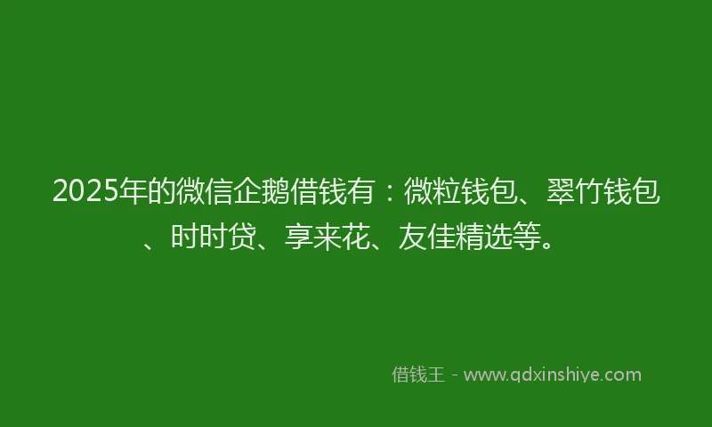 2025年的微信企鹅借钱有：微粒钱包、翠竹钱包、时时贷、享来花、友佳精选等。