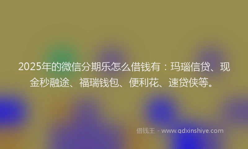 2025年的微信分期乐怎么借钱有：玛瑙信贷、现金秒融途、福瑞钱包、便利花、速贷侠等。