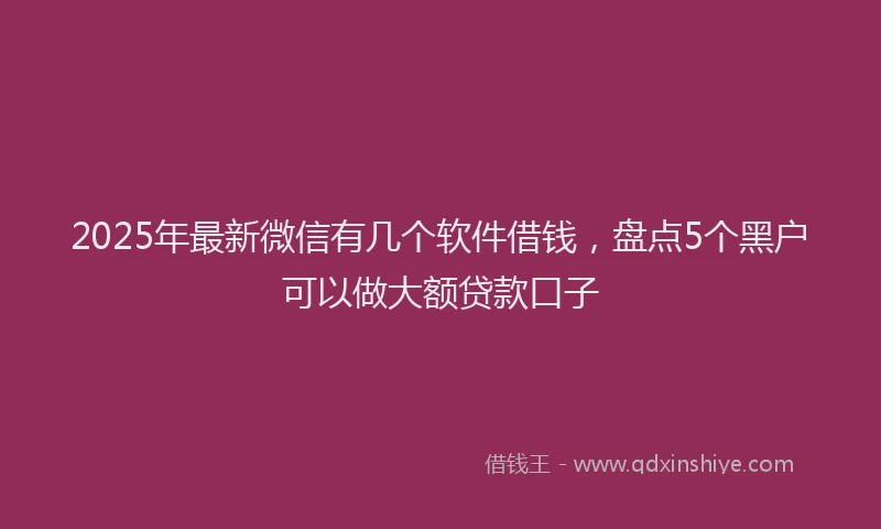 2025年最新微信有几个软件借钱，盘点5个黑户可以做大额贷款口子