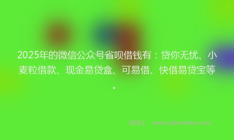 2025年的微信公众号省呗借钱有：贷你无忧、小麦粒借款、现金易贷盒、可易借、快借易贷宝等。
