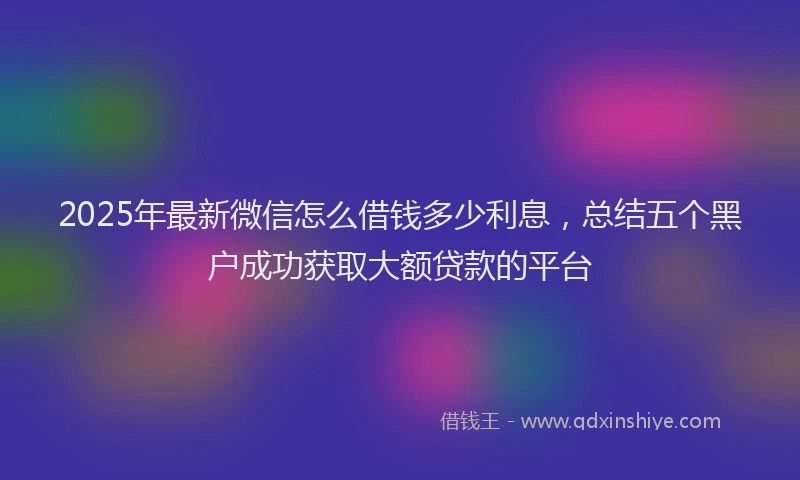 2025年最新微信怎么借钱多少利息，总结五个黑户成功获取大额贷款的平台