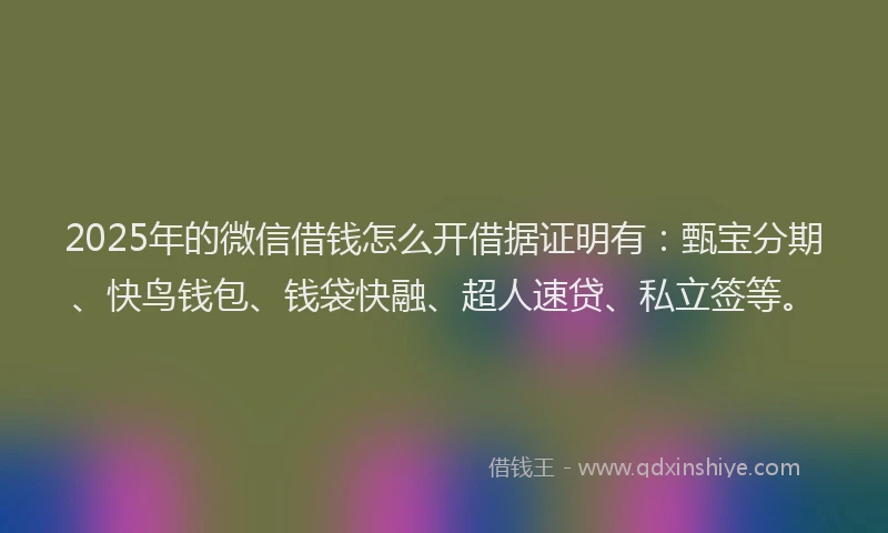 2025年的微信借钱怎么开借据证明有：甄宝分期、快鸟钱包、钱袋快融、超人速贷、私立签等。